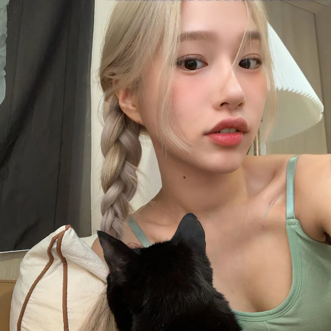 飞吧!